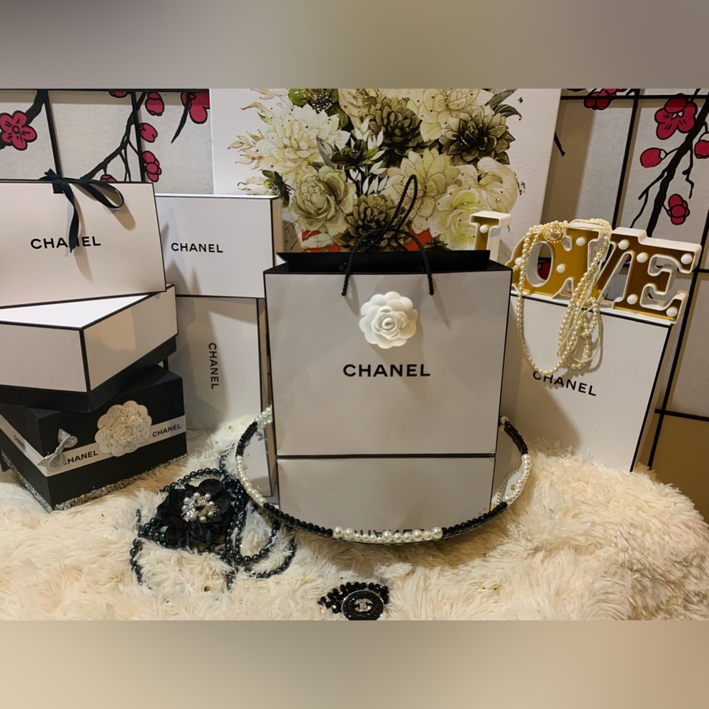 EUC/ Like NEW!CHANEL Camara CB from Cruise 2015 collection by Karl Lagerfeld🌺